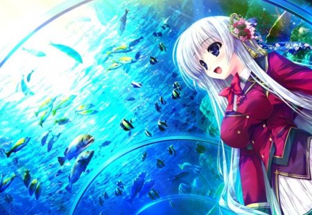 anime girl - pretty, anime, girl, cute, aquarium