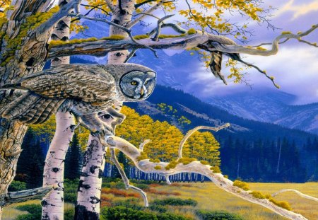 Big Grey - owl, mountains, tree, autumn