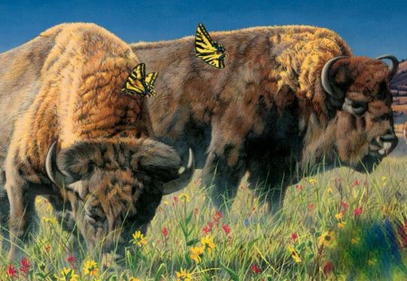 Buffalo and Butterflies - plains, flowers, Bufffalo, butterflies