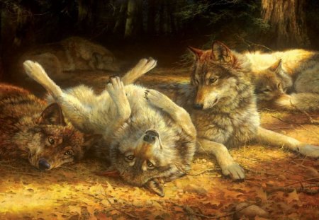 Chilling - friends, forest, three, wolves