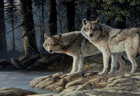 Forest Dwellers - water, wolves, forest, trees