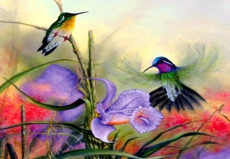 Hummer Gems - flowers, flying, hummingbirds, spring