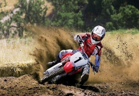 Motorcross - sports, motorcycle, path, trees, biking, person, dirt, motorcross