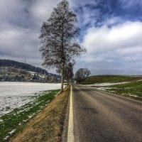 Snowy Roadside Landscape