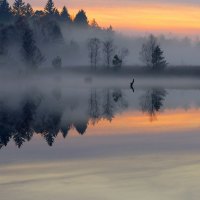 wonderful mirror lake in morning mist