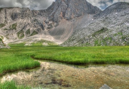 grassy wetlands at the foot of mountains - grass, wetlands, mountains, pool