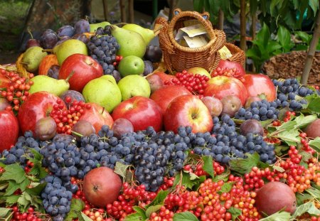 A Bouquet of Fresh Fruit - cranberry, fresh, abstract, pears, grapes, bouquet, apple, fruit