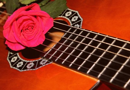 Love Song - guitar, red, love, flower, song