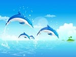 Dolphins Free