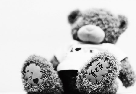 Teddy bear - nice, cool, bear, photography, toy, teddy, photo, teddy bear