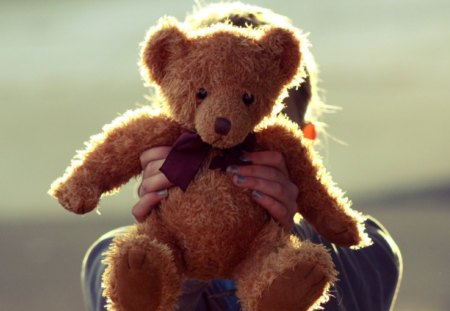 Teddy bear - bear, photography, teddy, teddy bear, nice, photo, cool, toy