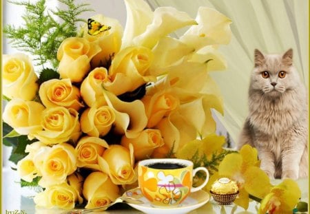 Good Morning - butterfly, flowers, cat, coffee