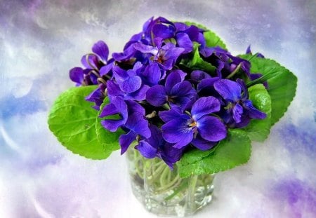 Lovely spring flowers - nice, freshness, fragrance, delicate, still life, spring, pansy, pretty, scent, fresh, tender, lovely, vase, violet, forest, blue, wild, beautiful, leaves, flowers