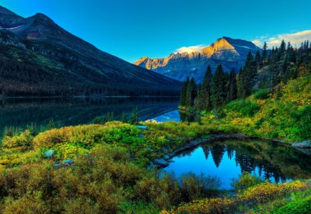 Mountain River and Forest - reflections, blue sky, meadow, trees