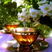 SPRING MORNING TEA