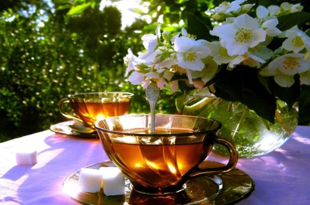 SPRING MORNING TEA - morning, tea, cups, spring