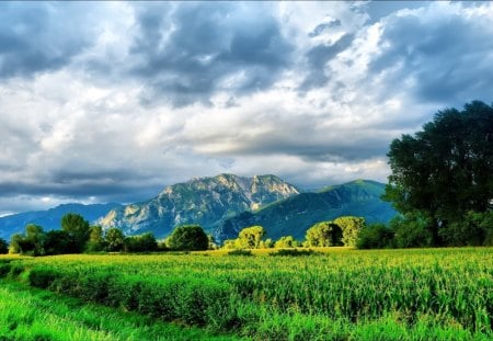 Mountains, sky  and grass - fields, sky, trees, popular, wallpaper, mountains, other, nature, clouds, awesome