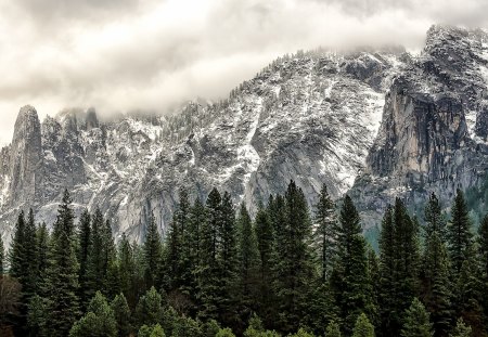 fantastic rugged mountains hdr - forest, clouds, mountains, hdr, rugged