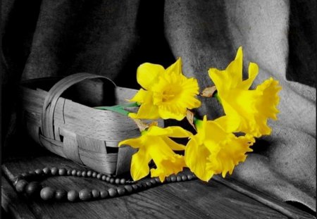 Yellow flowers - new, image, color, wallpper