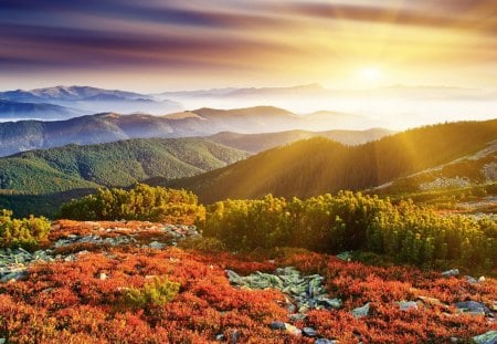 The rays of the Sun - autumn - mountains, autumn, forest, the rays of the sun