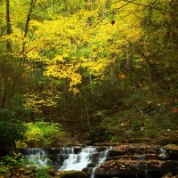 Golden waterfalls