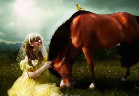 Stay With Me - horse, lady, fantasy, stay, yellow