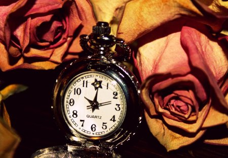 Withering Away - flowers, watch, time, withering