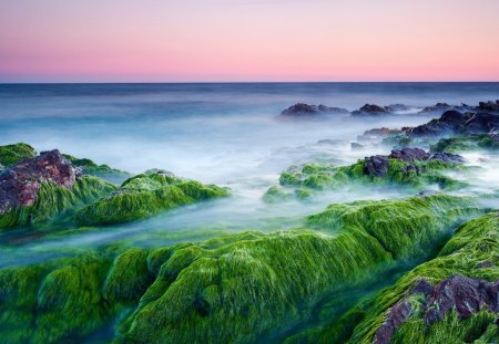 misty sea over moss covered rocks on shore - oceans, moss, shore, sunset, sea, algae, mist, rocks