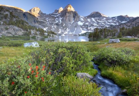 lovely brook from a mountain lake - lake, mountains, bushes, brook