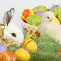 Easter Bunny