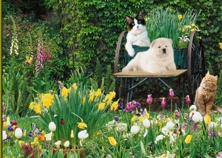 the spring garden,flowers,animals...... - flowers, garden, animals, spring