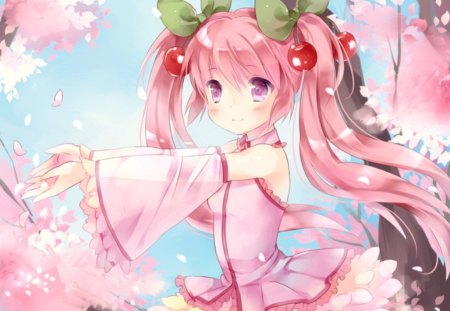 pictures vocaloid hatsune miku cherry blossom yuu