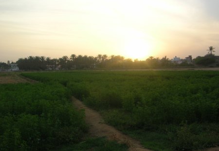 beautiful malir - malir, grass, sunset, nature