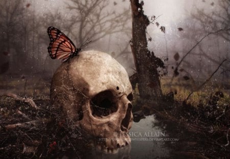 In the End - butterfly, fantasy, end, skull