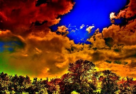 SUMMER CLOUDS - sky, forest, trees, clouds