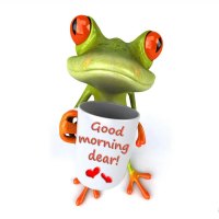 Good Morning Frog