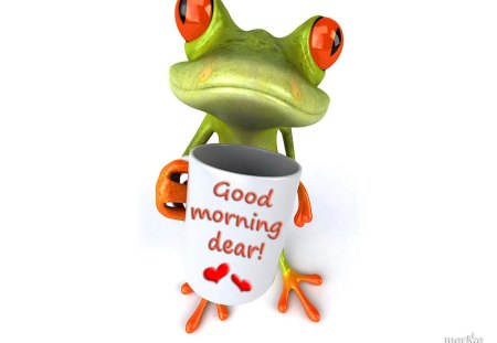 Good Morning Frog - morning, frog, 3d, good, funny, dear