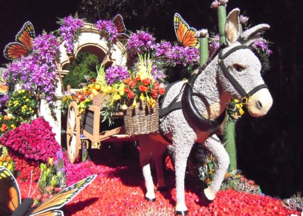 Flower Donkey - blooms, funny, garden, figure