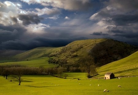 sheep meadow - meadow, sheep, pasture, clouds, hills, cabin