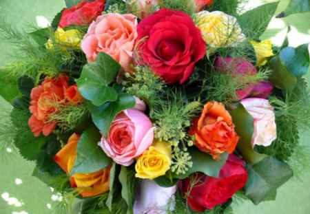 Diferent   colors of roses bouquet - beauty, roses, gift, photography, delicate, bouquet, spring, white, art, yellow, petals, orange, artist, soft, nature, abstract, red, pink, leaves, flowers, colors