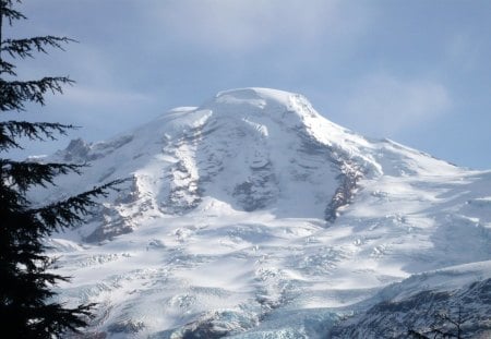 Mount Baker WA - trees, volcano, photography, Mount Baker, majestic, snow, forest, mountain, sky