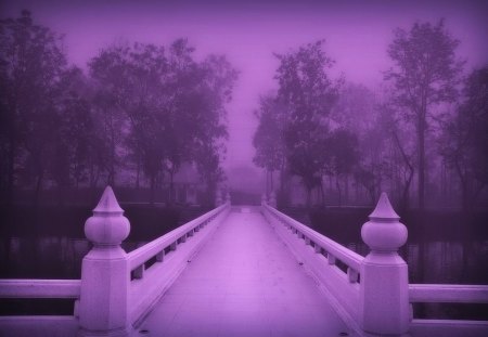 misty morning - morning, nature, lake, bridge