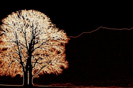 Neon Baum - baum, landschaft, abend, herbst