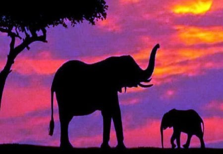 Kenyan eve - clouds, elephants, blue, evening, orange, tree