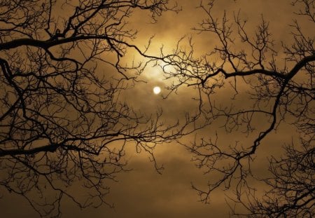 Magic night - cloud, moon, night, sky