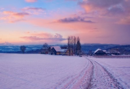 wonderful farm in winter