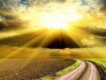 sunbeams over arable fields