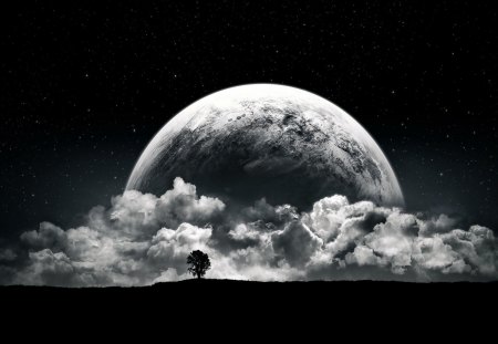 Moon - moon, nature, tree, cg