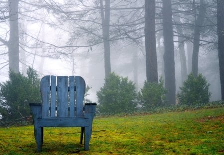 Misty Forest - trees, mist, chair, grass