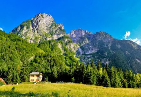 mountain lodges in slovenia - trees, popular, wallpaper, meadow, mountains, nature, forest, lodges, house, landscapes